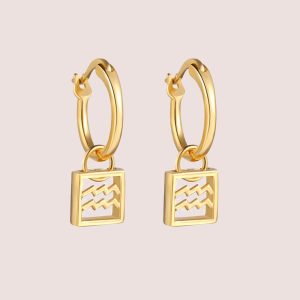 Aquarius constellation earrings