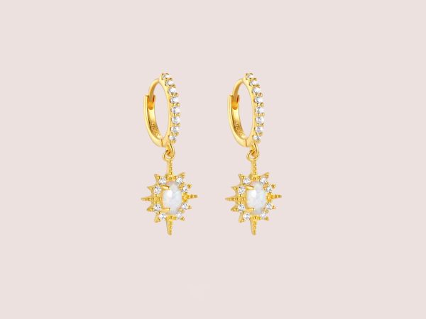 star gazer earrings